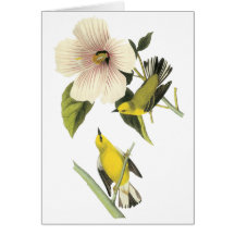 Blue-winged Warbler John Audubon Greeting Cards