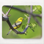 Blue-Winged Warbler Mousepad