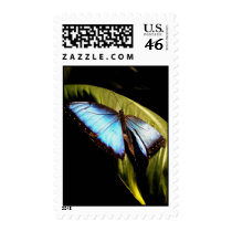 Blue Wings postage