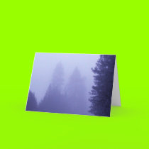 Blue Winter cards