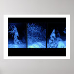 Blue Winter-Darkness Print
