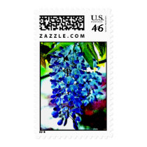 Blue Wisteria Stamps
