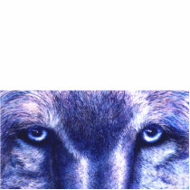 Blue Wolf Eyes, Photo Sculpture photo sculptures
