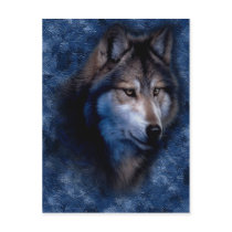 Blue Wolf Postcard by touchministry Blue Wolf Postcard