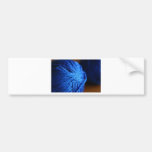 Blue wool bumper stickers