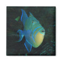 Blue, yellow and green fish - magnet