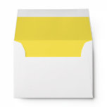 Blue Yellow Gold Red Maroon Custom Envelope Mailer
