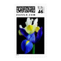 Blue & Yellow Iris Flowers 1b postage