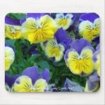 Blue-Yellow Pansies mousepads