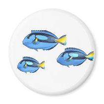 Blue & Yellow Tropical Fish Refrigerator Magnets