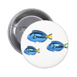 Blue & Yellow Tropical Fish Pins