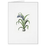 vintage, blue, bell, bluebell, flower, botanical,