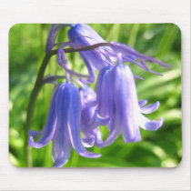Bluebell flowers - Mousepad
