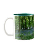 bluebell, forest, mug, nature, forests, jungles