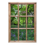 window, scenes, views, spring, park, bluebells,