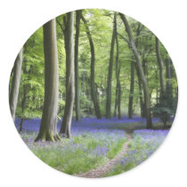 Bluebell Walk Round Sticker