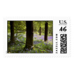 postage stamp, bluebell wood, bluebells, postage,