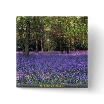 Bluebell Woods, England Pinback Button