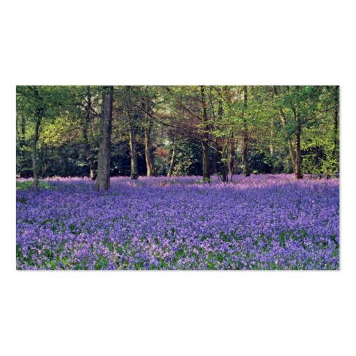 Bluebell Woods, England  flowers Business Cards (back side)