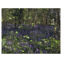 Bluebell Woods from the Forest Custom Flyer