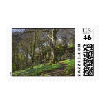 Bluebell Woods Stamps