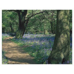 Bluebells and trees, Crackley Wood, Warwickshire flyers