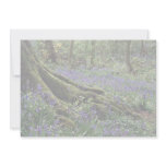 Bluebells, Blicking, Norfolk from the Forest Custom Announcements
