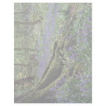 Bluebells, Blicking, Norfolk from the Forest Letterhead Design