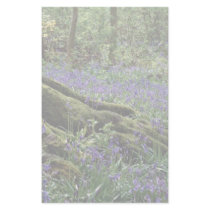 Bluebells, Blicking, Norfolk from the Forest Stationery