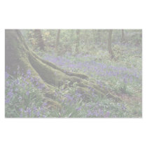 Bluebells, Blicking, Norfolk from the Forest Custom Stationery