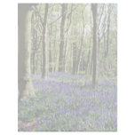 Bluebells, Blicking Park, Blicking, Norfolk  flowe Letterhead