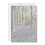 Bluebells, Blicking Park, Blicking, Norfolk Custom Invitations