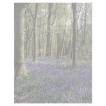 Bluebells, Blicking Park, Blicking, Norfolk Letterhead Template