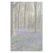 Bluebells, Blicking Park, Blicking, Norfolk Personalized Stationery