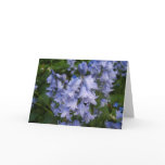 Bluebells Greeting Card