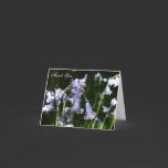 Bluebells cards