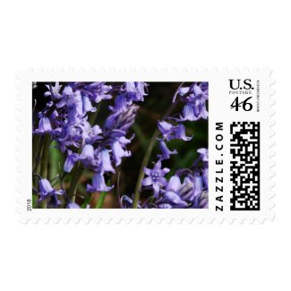 Bluebells Flowers Postage Stamps stamp