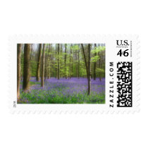 Bluebells in Brussels postage postage by corinneshor Bluebells in Brussels postage postage