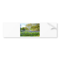 Bluebells in Launde Woods, Leicestershire Bumper Sticker