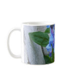 flowers, bluebell, virginia, spring, pretty, blue,
