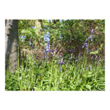 Bluebells in the Wood Invitation
