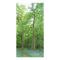 Bluebell's Loch Lomond photo cards
