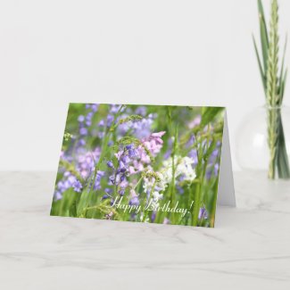 Bluebells meadow card