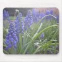 Bluebells mousepads by jfkiser Bluebells mousepads