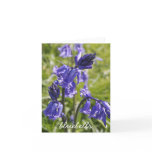 notecard, bluebell, flowers, miscellaneous