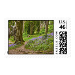 Bluebells Postage