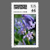 Bluebells postage