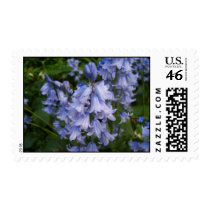 Bluebells Stamps