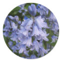 Bluebells stickers