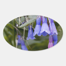 Bluebells Sticker